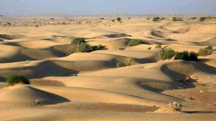 Hotel Fotiya Jaisalmer Bagian luar foto